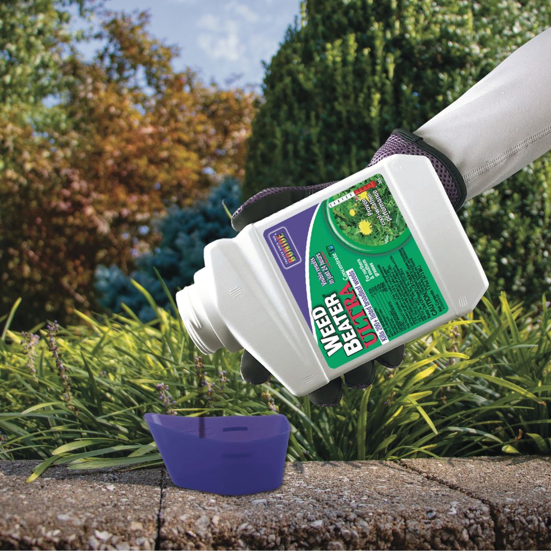 Weed Beater Ultra Concentrate – Bonide – 16 oz
